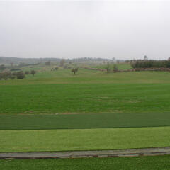 Kunstgress teemaster pris pr kvm